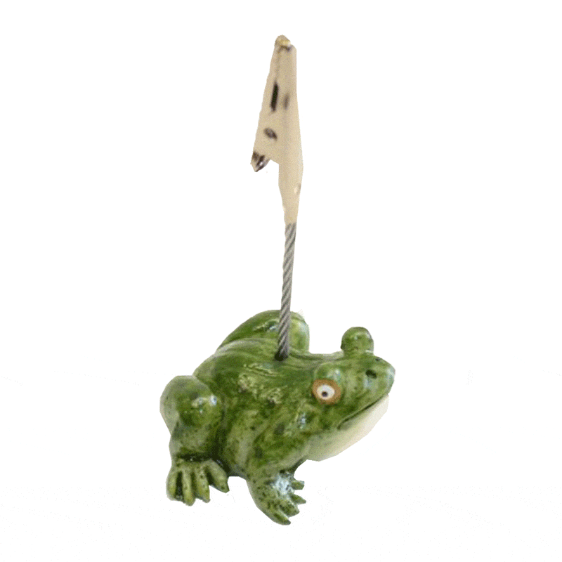 Lucky Frog Admission Ticket Holder