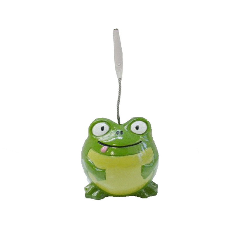 Frog Admission Ticket Holder